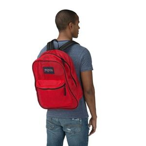 Jansport Mesh Backpack NBW- Never used. PRISTINE